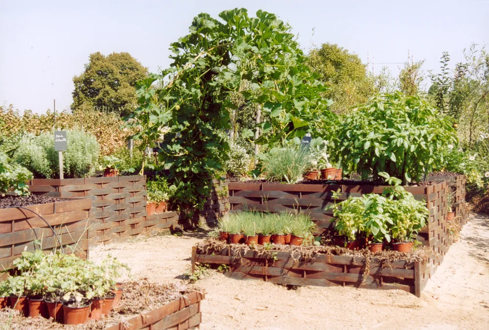 Garden Museum