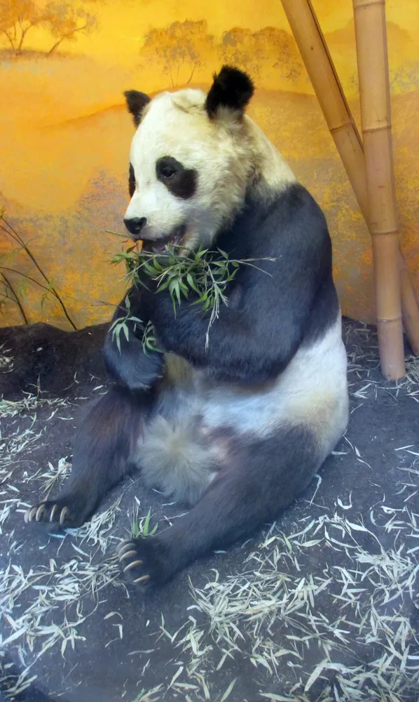 London Zoo