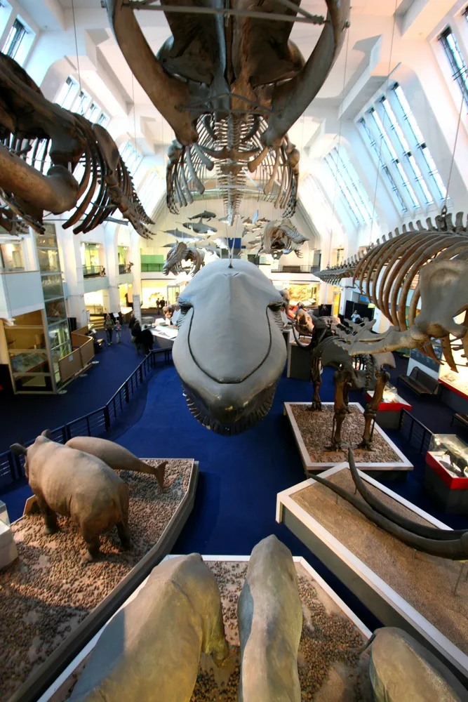 Natural History Museum