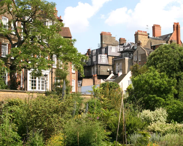 Chelsea Physic Garden