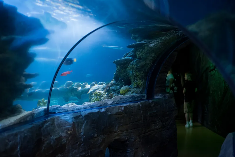 London Aquarium