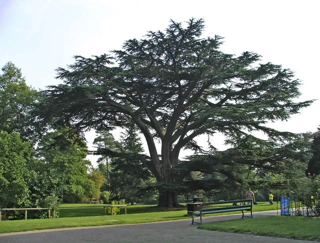 Forty Hall Museum