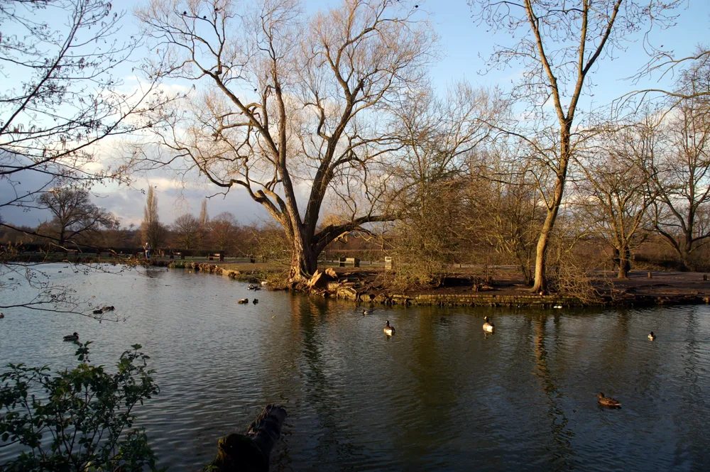 Forty Hall Museum