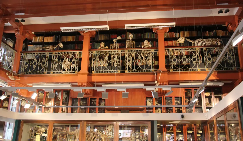 Grant Museum of Zoology