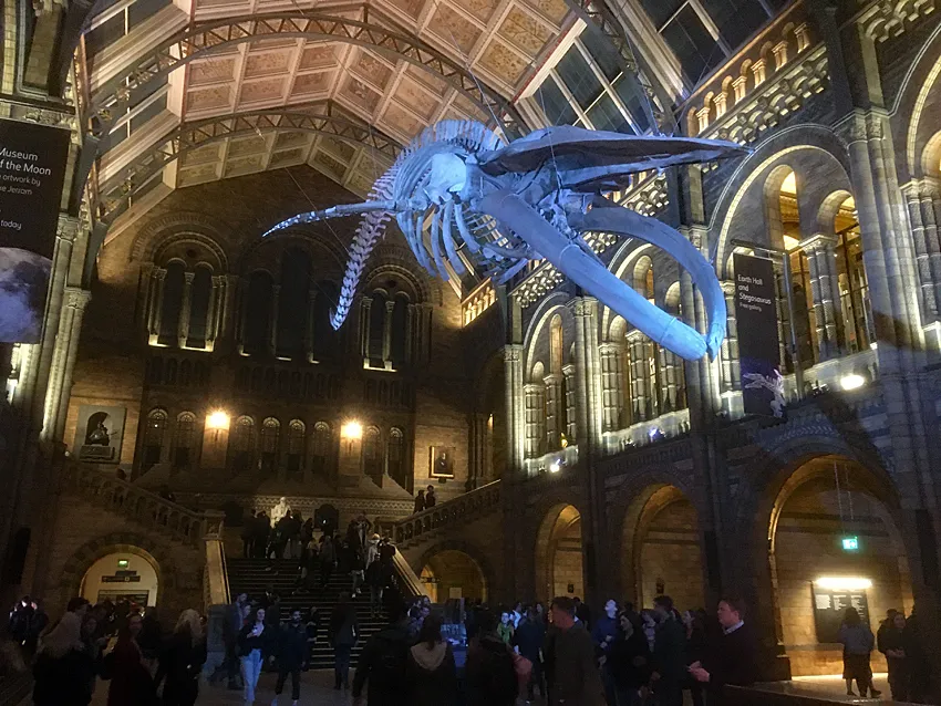 Natural History Museum