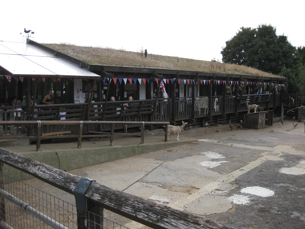 Surrey Docks Farm